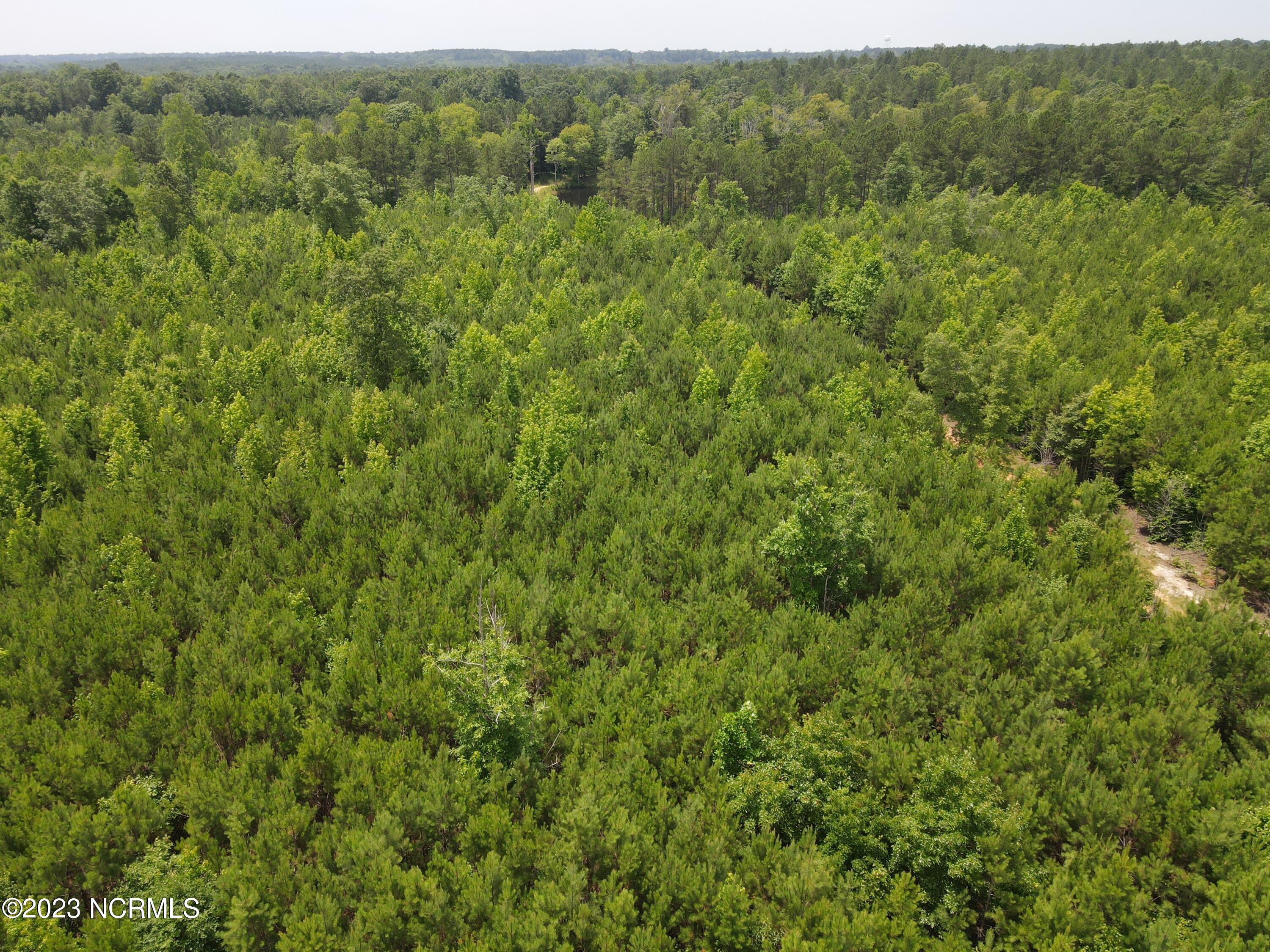 472 Eaton Ferry Road Property Photo 39