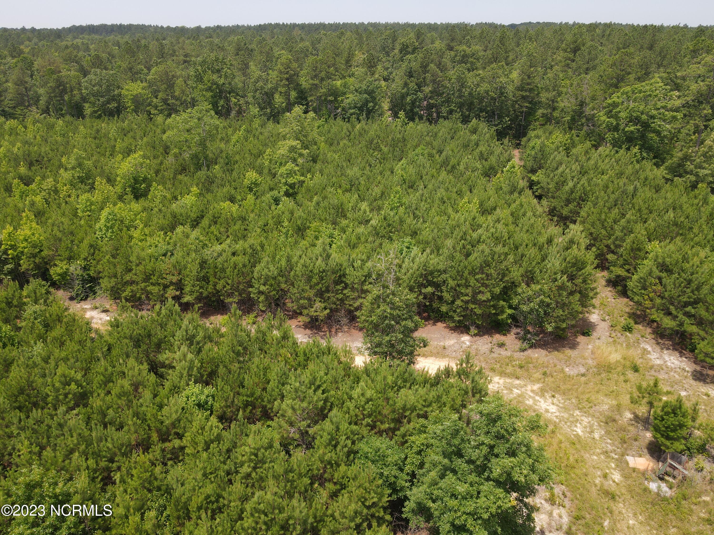472 Eaton Ferry Road Property Photo 40