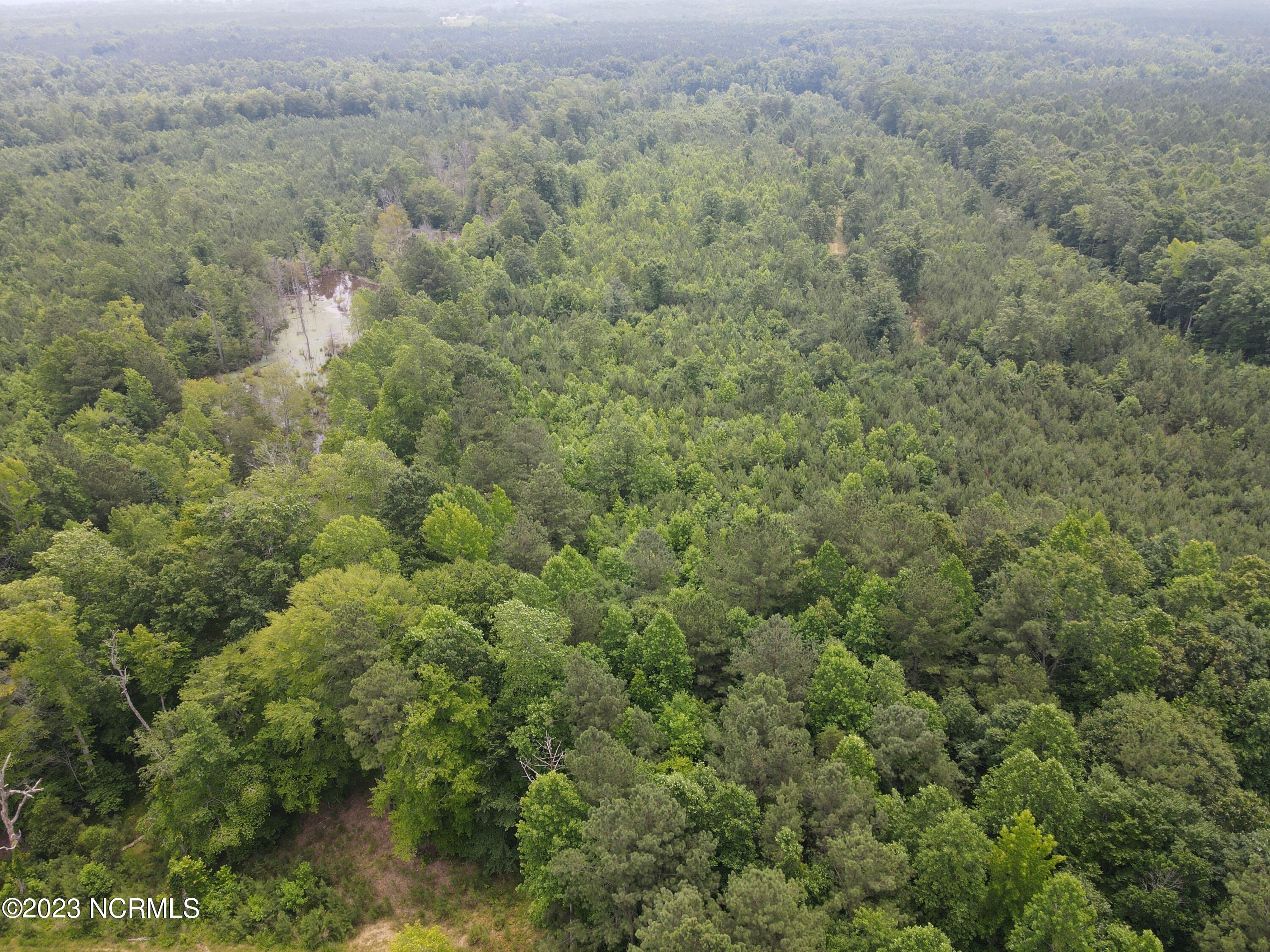472 Eaton Ferry Road Property Photo 44