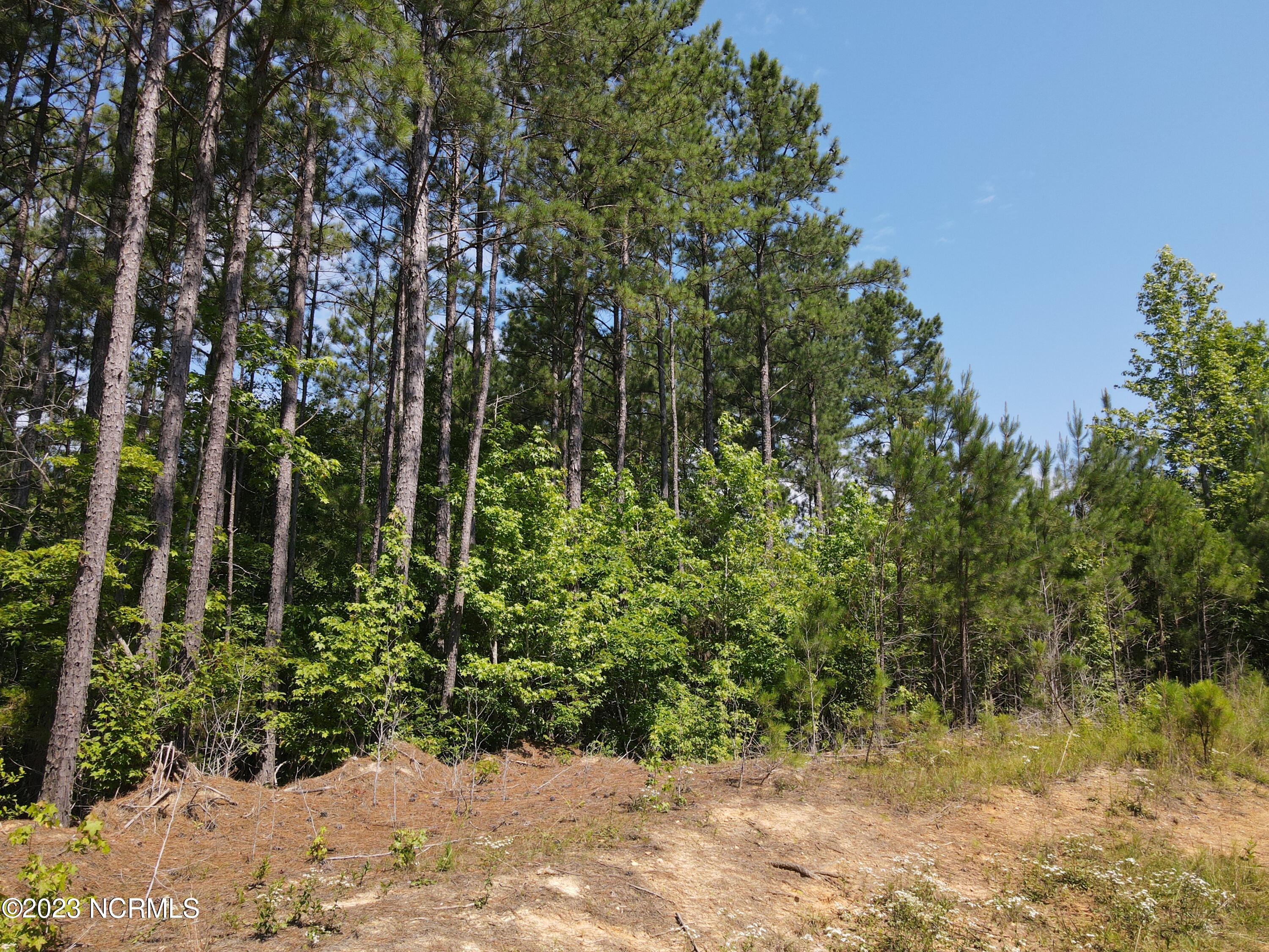 472 Eaton Ferry Road Property Photo 46