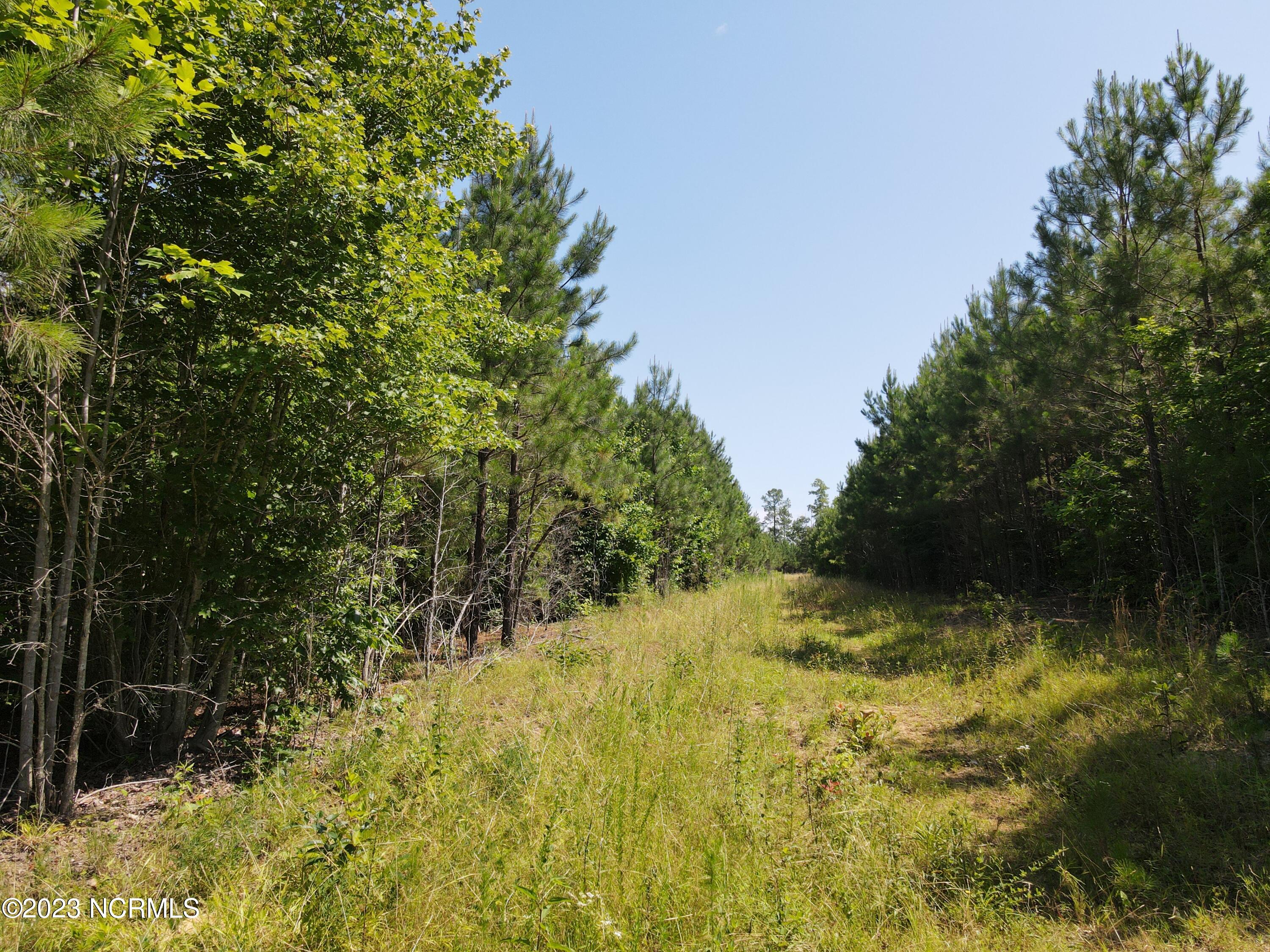 472 Eaton Ferry Road Property Photo 47