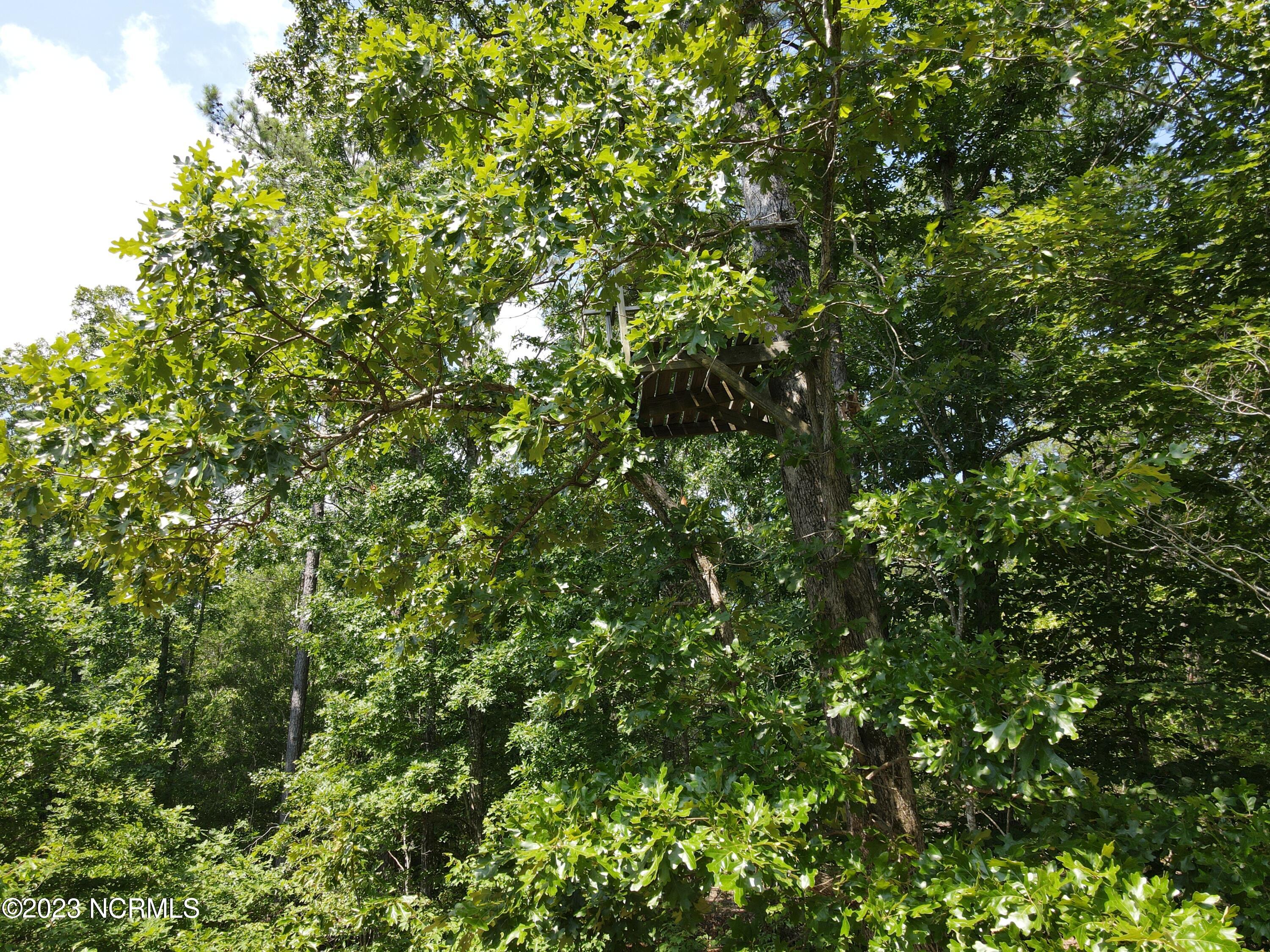 472 Eaton Ferry Road Property Photo 53
