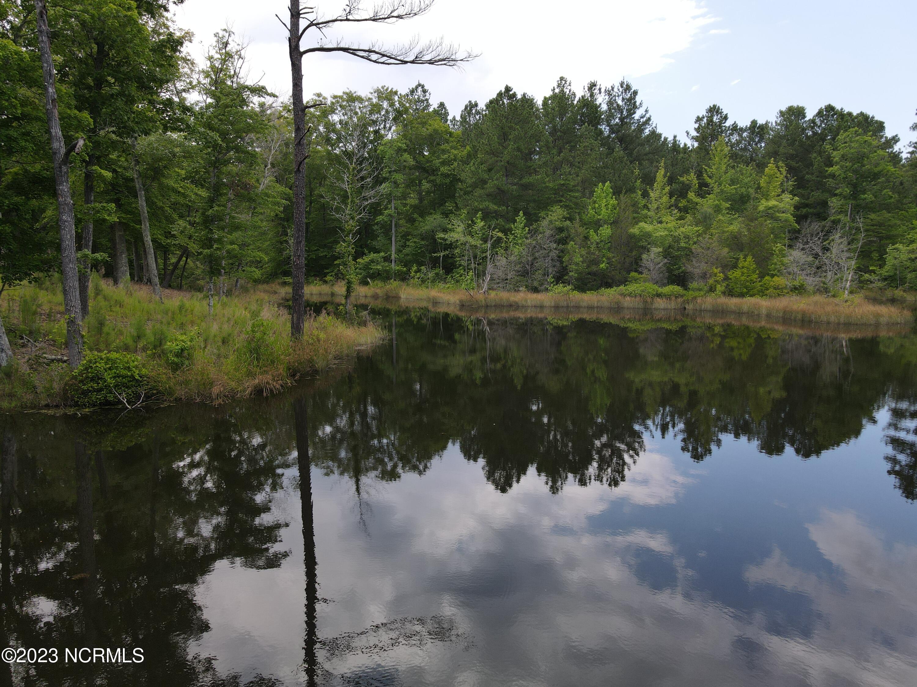 472 Eaton Ferry Road Property Photo 60