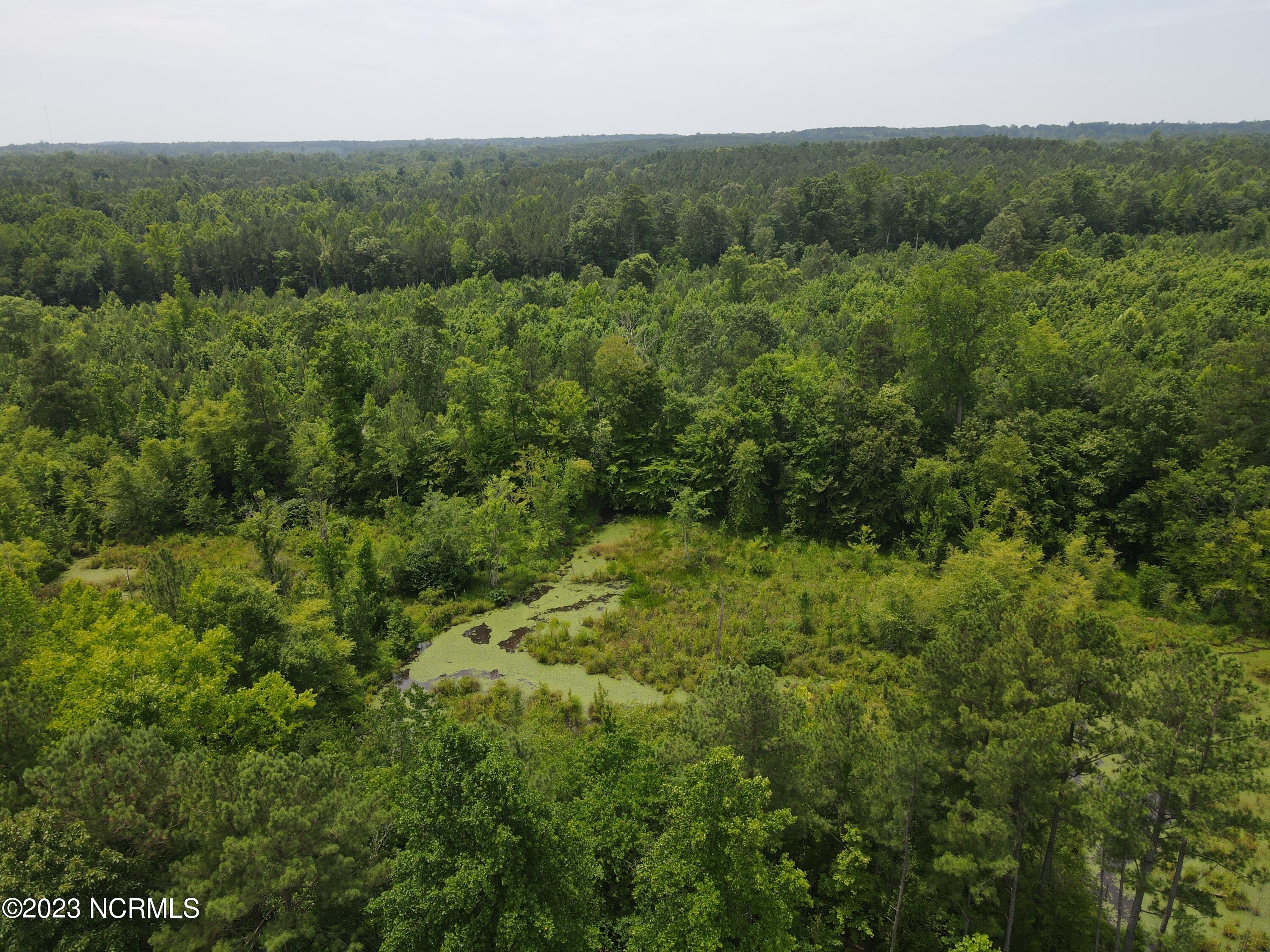 472 Eaton Ferry Road Property Photo 72