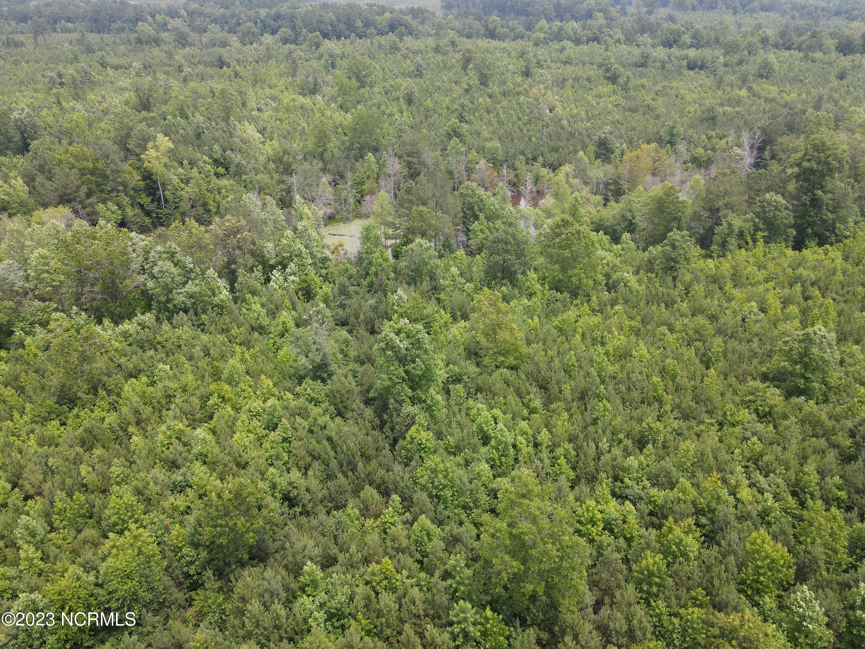 472 Eaton Ferry Road Property Photo 75