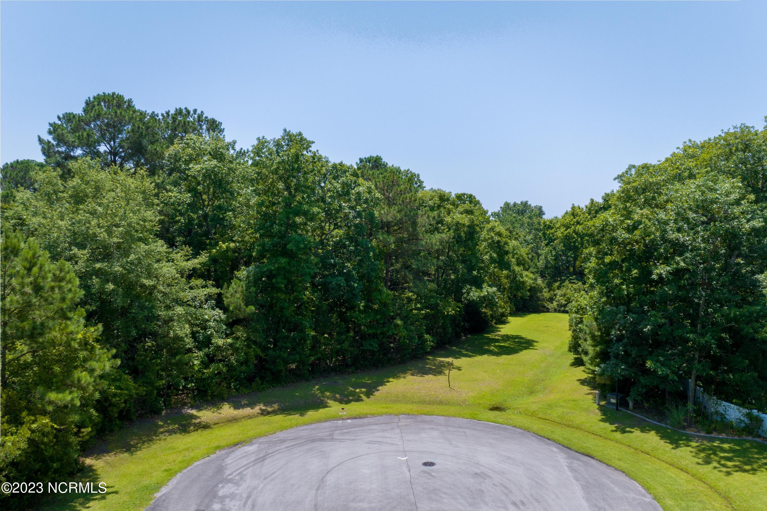 186 Snow Goose Lane Property Photo 4