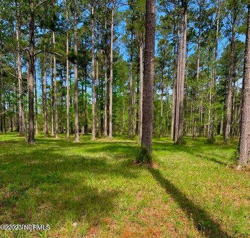 52 Corolla Loop Road Property Photo 1
