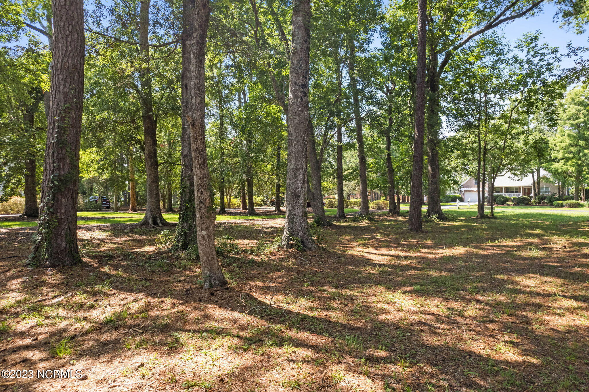 3229 Beaver Creek Drive Property Photo 17