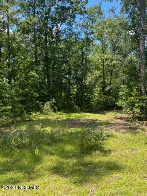 6681 Mossey Run Drive Property Photo 1