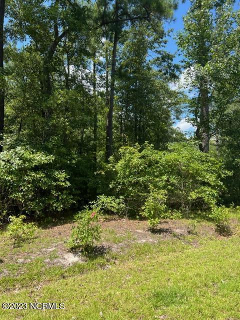 6681 Mossey Run Drive Property Photo 3