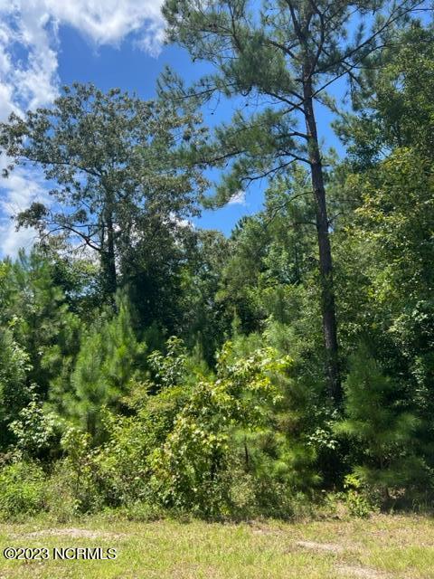 6681 Mossey Run Drive Property Photo 4