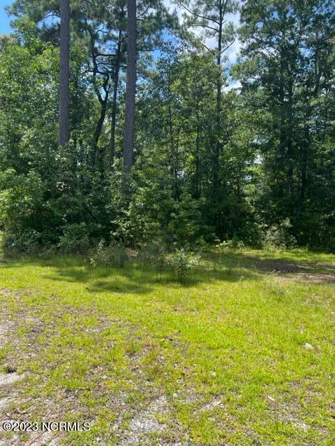 6681 Mossey Run Drive Property Photo 5