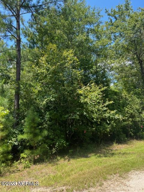 6681 Mossey Run Drive Property Photo 6