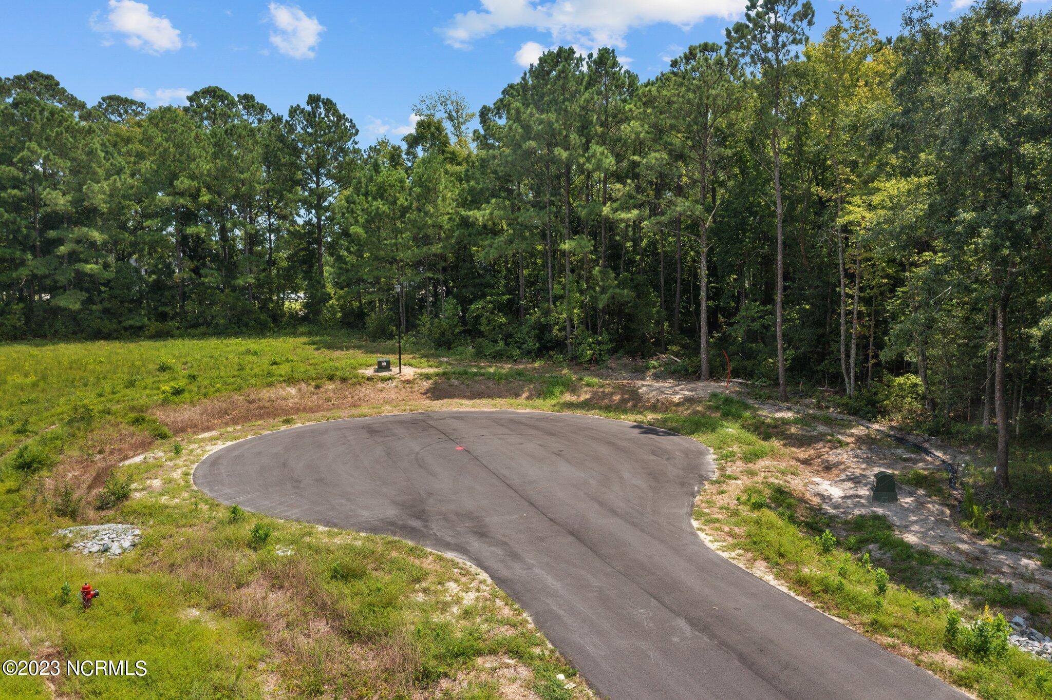 507 Red Drum Way Property Photo 4