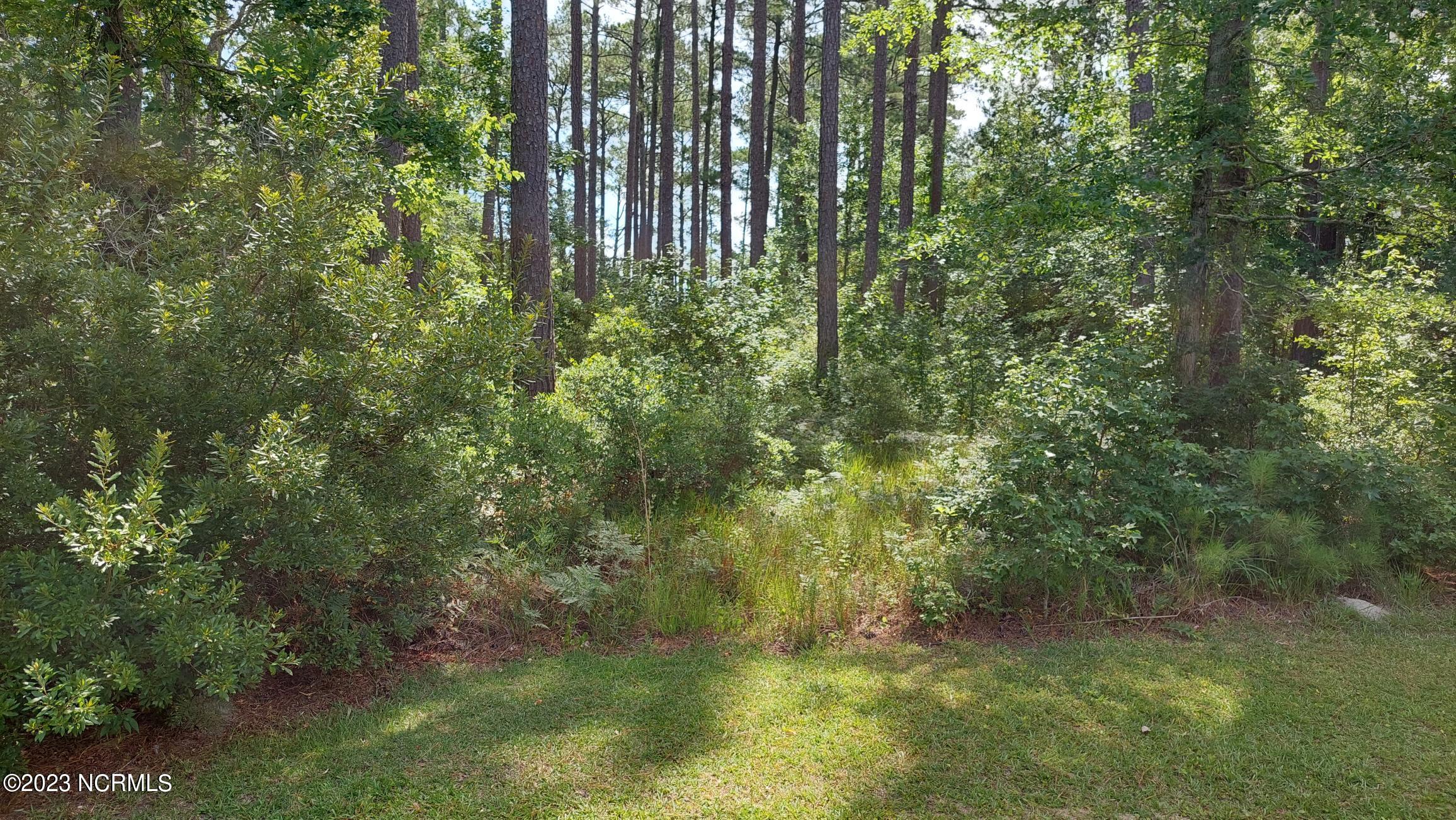 22 Shore Drive Property Photo 3