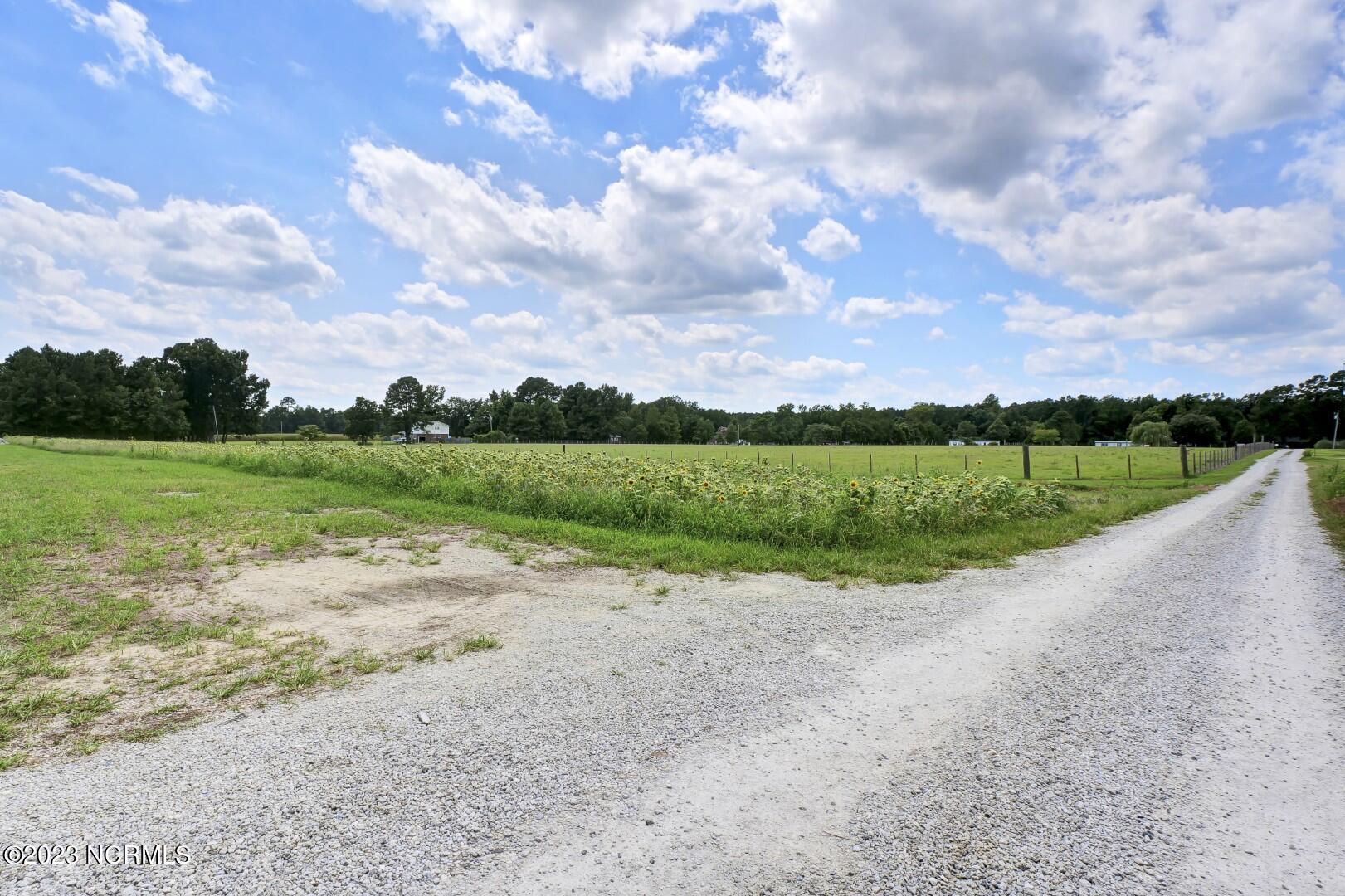 117 Highway & Oaks Plantation Property Photo 18
