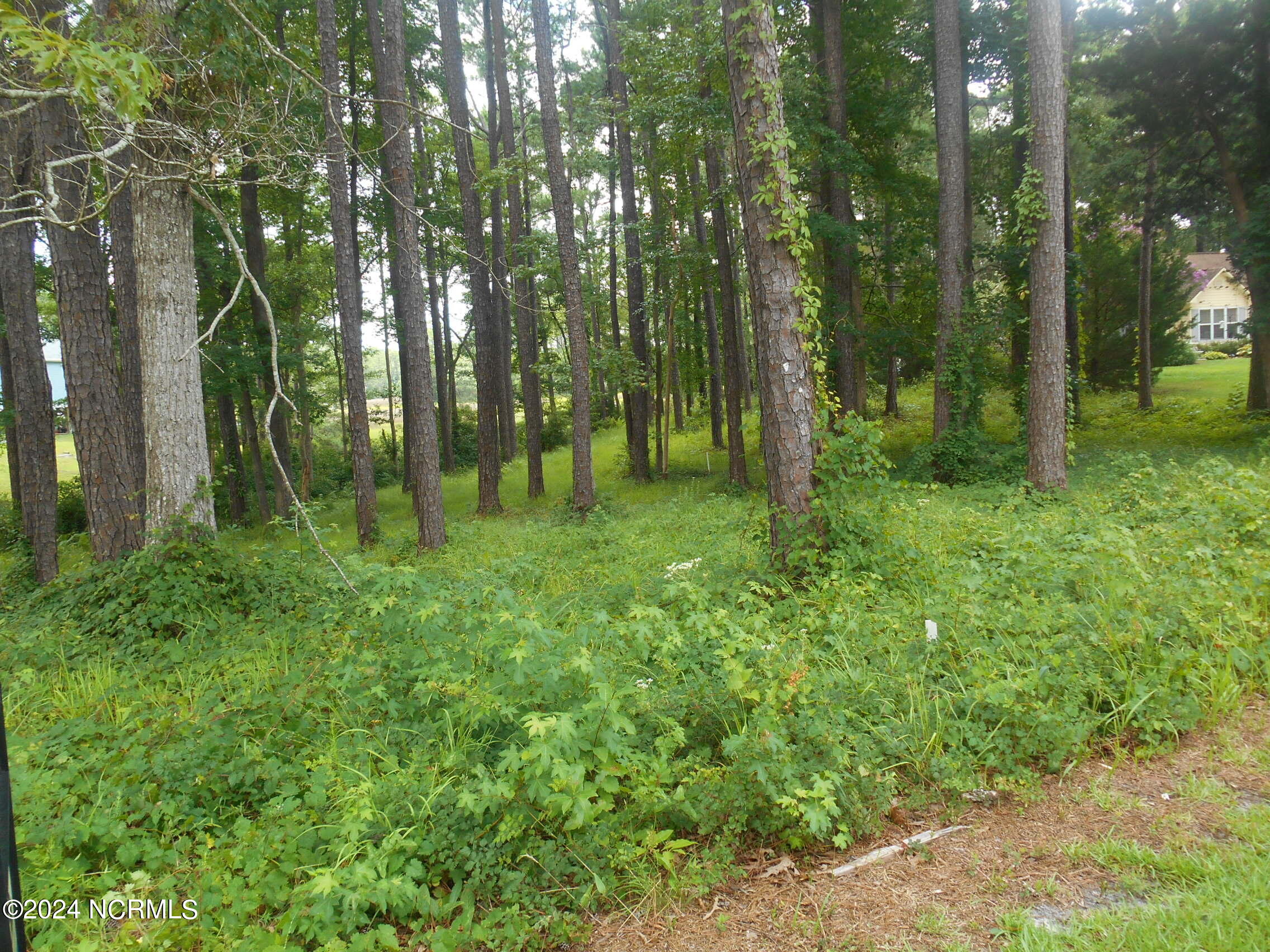 6491 Walden Pond Lane Property Photo 1