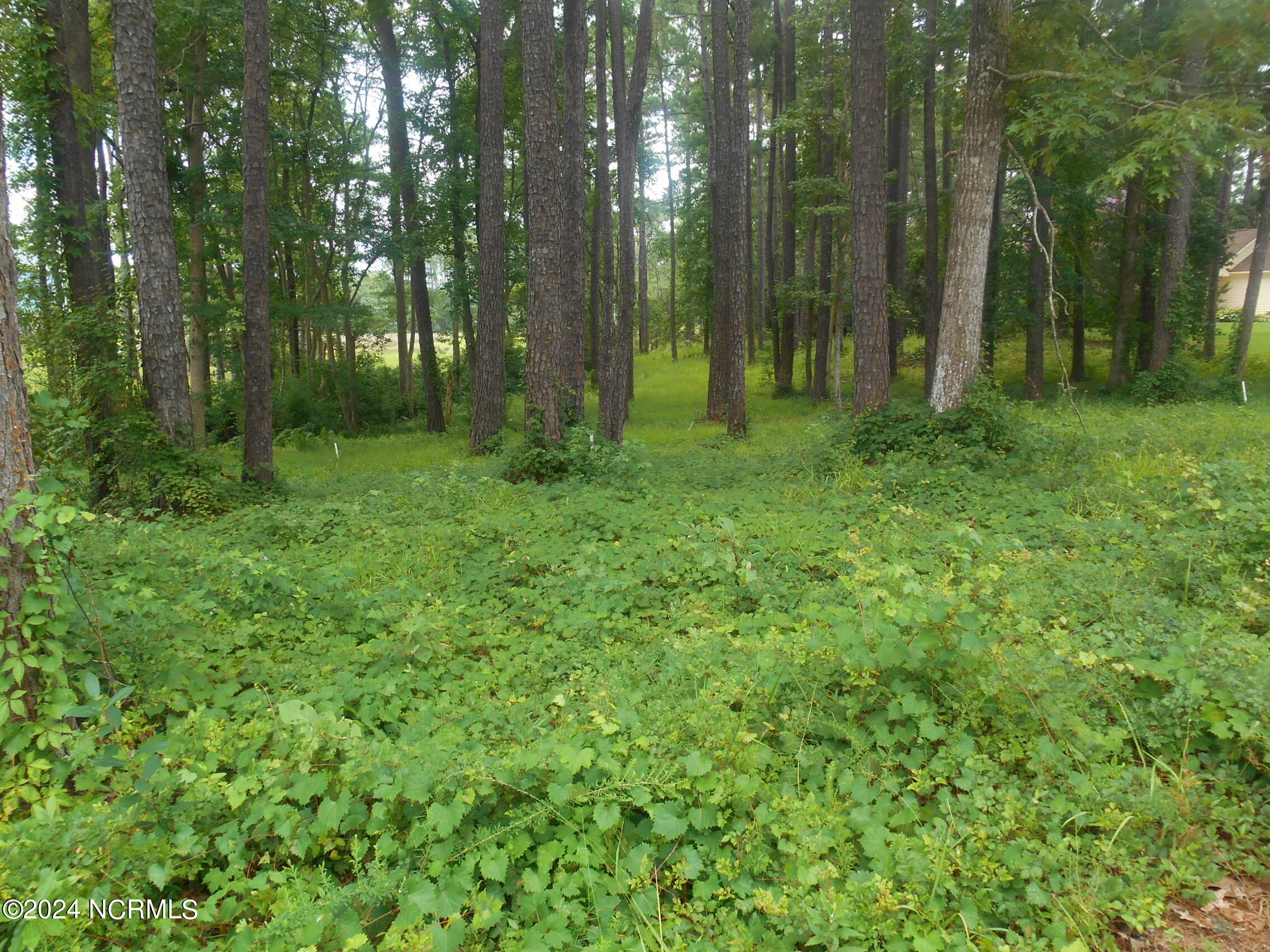 6491 Walden Pond Lane Property Photo 2