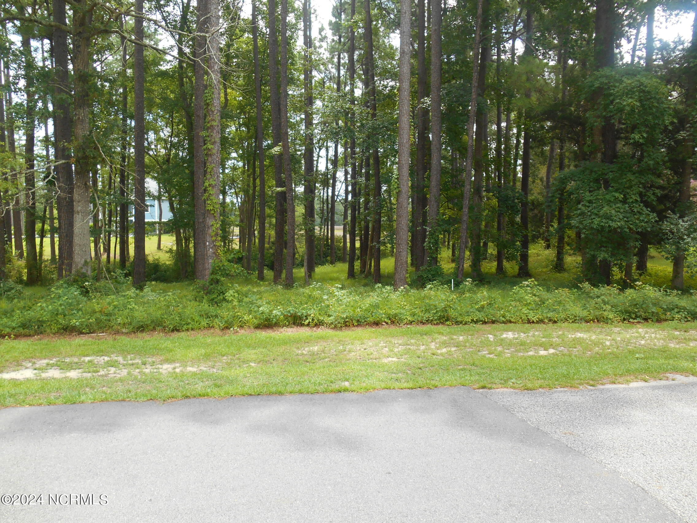 6491 Walden Pond Lane Property Photo 3