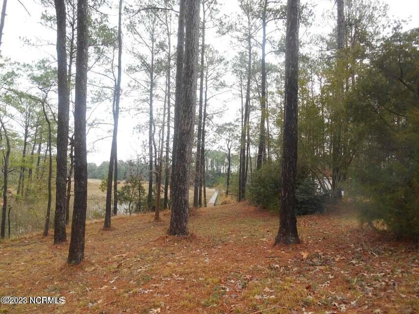 6491 Walden Pond Lane Property Photo 8