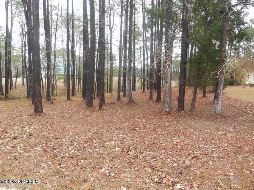 6491 Walden Pond Lane Property Photo 9