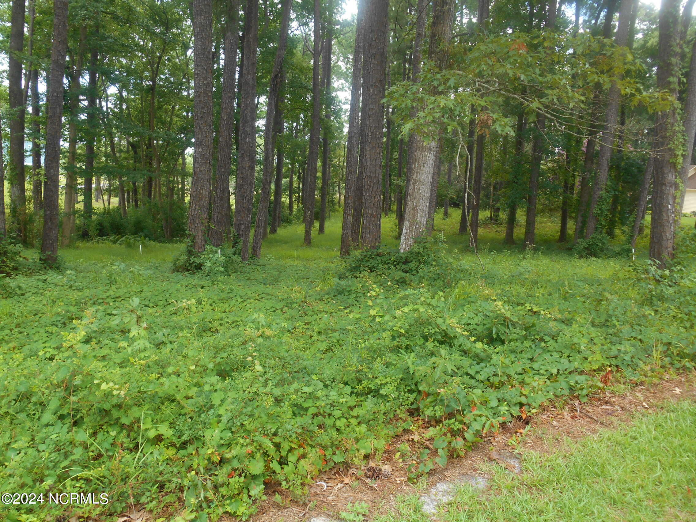 6491 Walden Pond Lane Property Photo 11