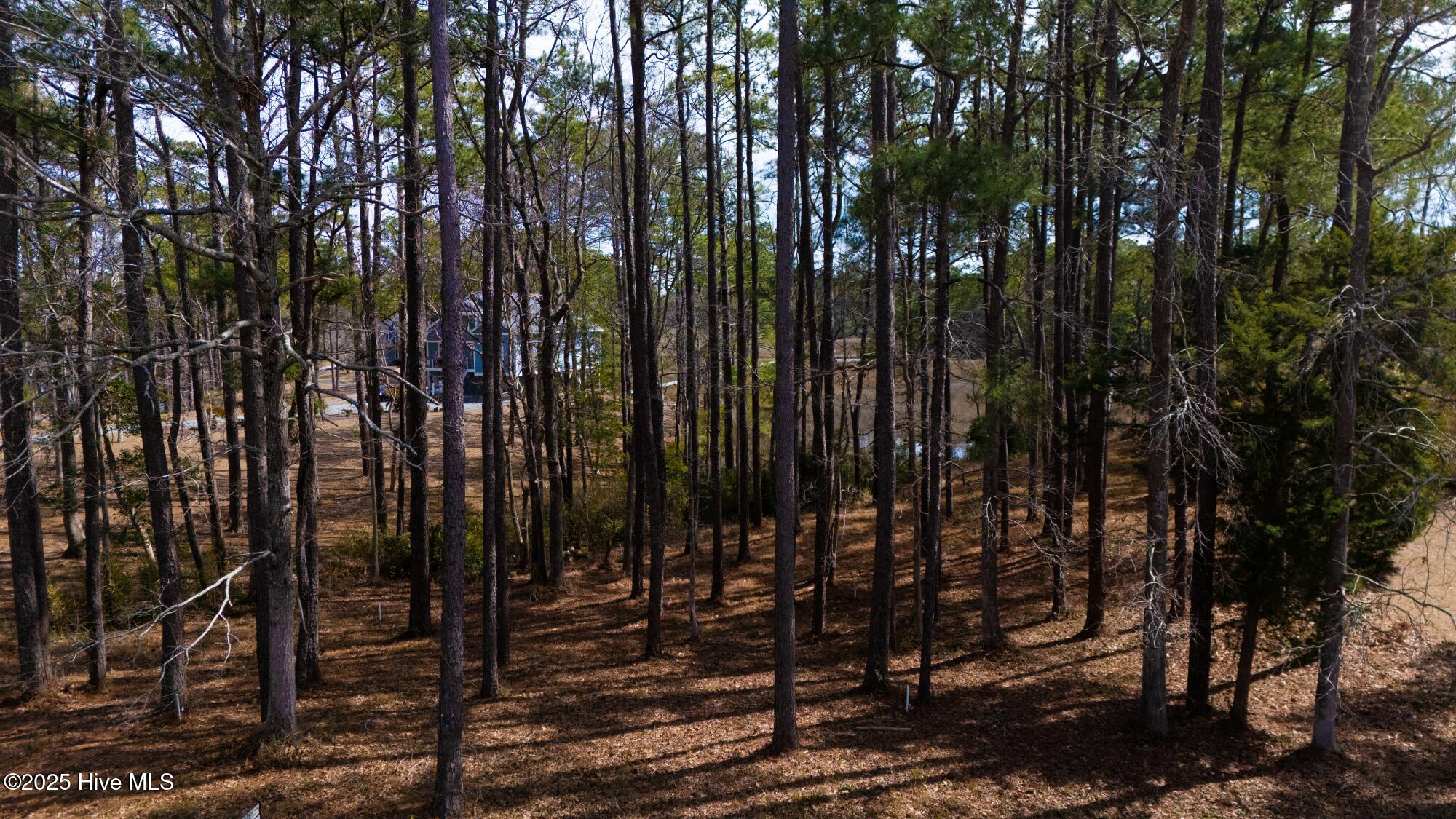 6491 Walden Pond Lane Property Photo 14