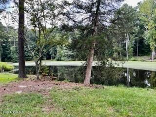 126 Little Bo Lane Property Photo 25