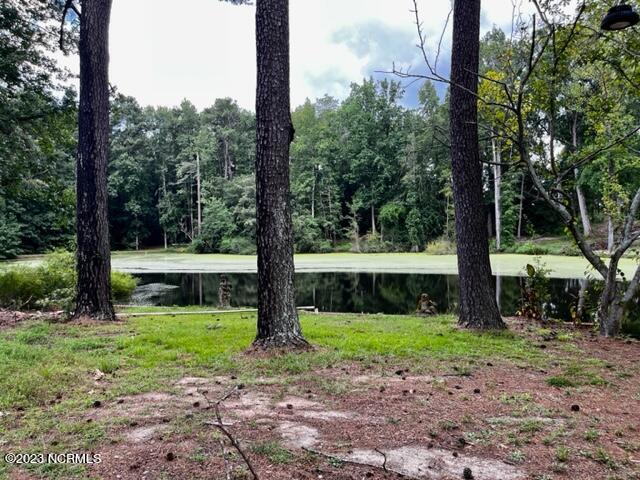 126 Little Bo Lane Property Photo 26