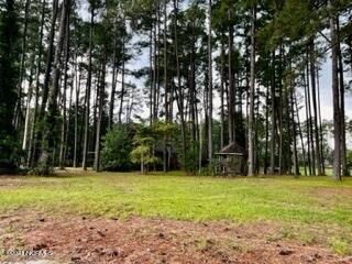 126 Little Bo Lane Property Photo 27