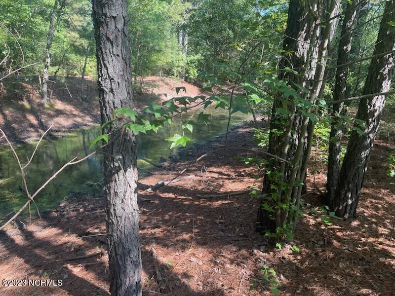 6802 Nc 33 Property Photo 4