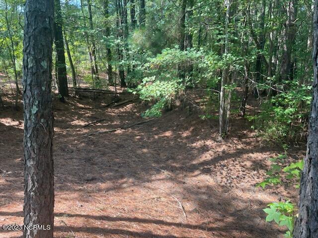 6802 Nc 33 Property Photo 5