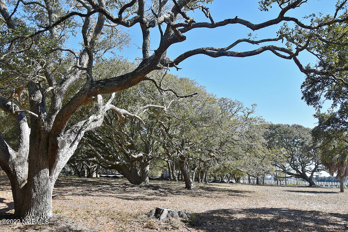 3819 Windy Point Road Property Photo 8