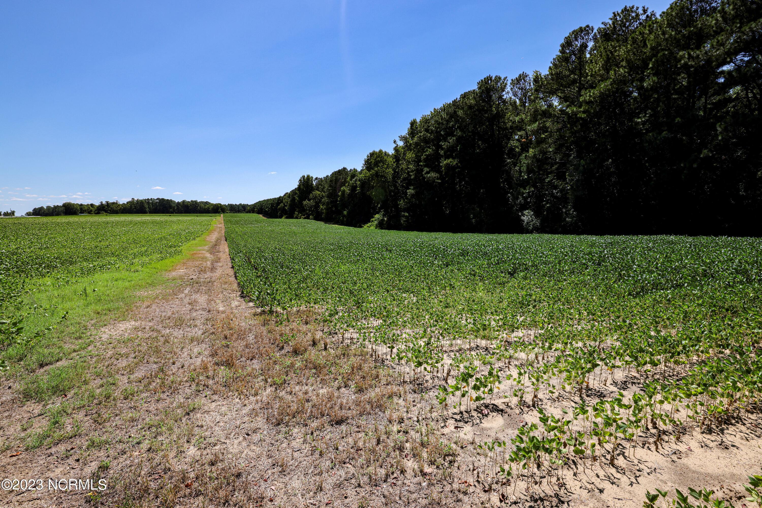 000 S Nc 581 Highway Property Photo 53