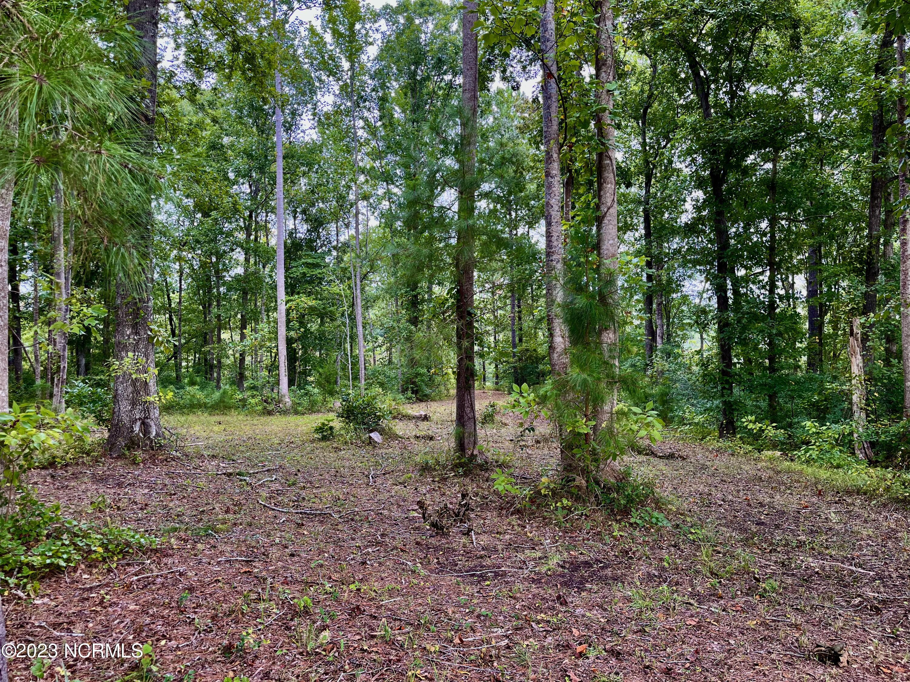 158 Fisher Turnpike Road Property Photo 7