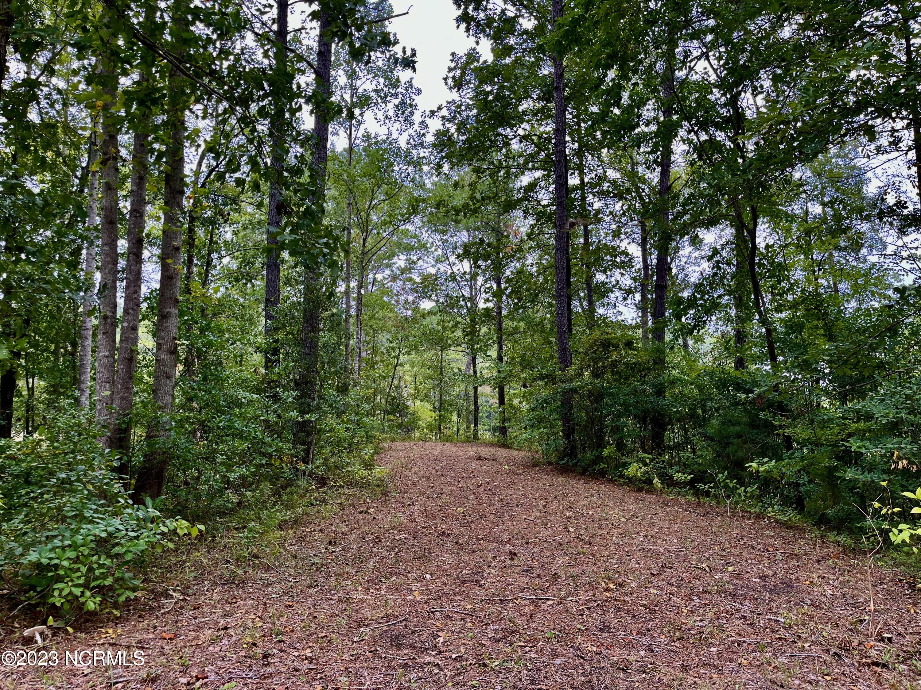 158 Fisher Turnpike Road Property Photo 9