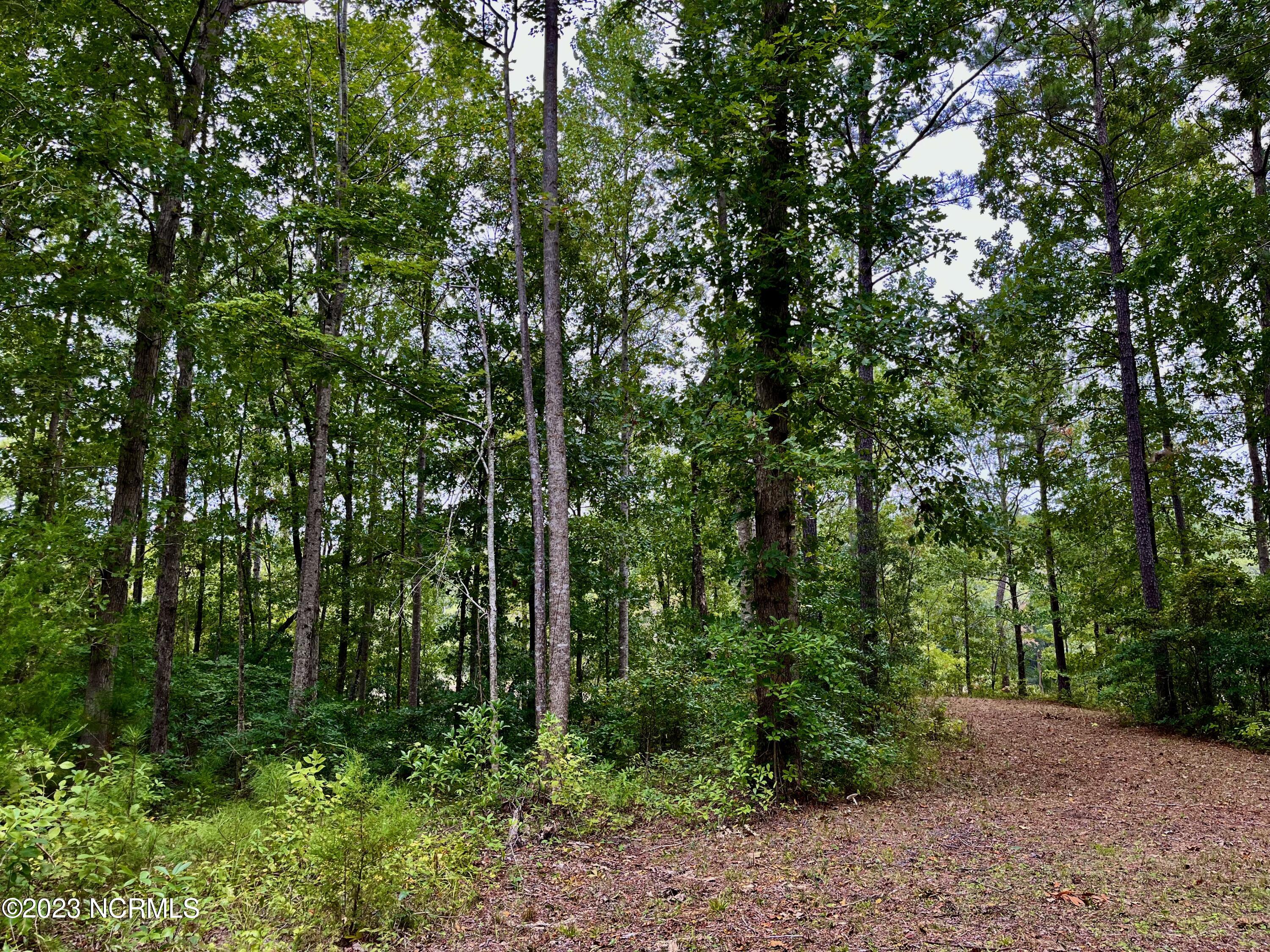 158 Fisher Turnpike Road Property Photo 10