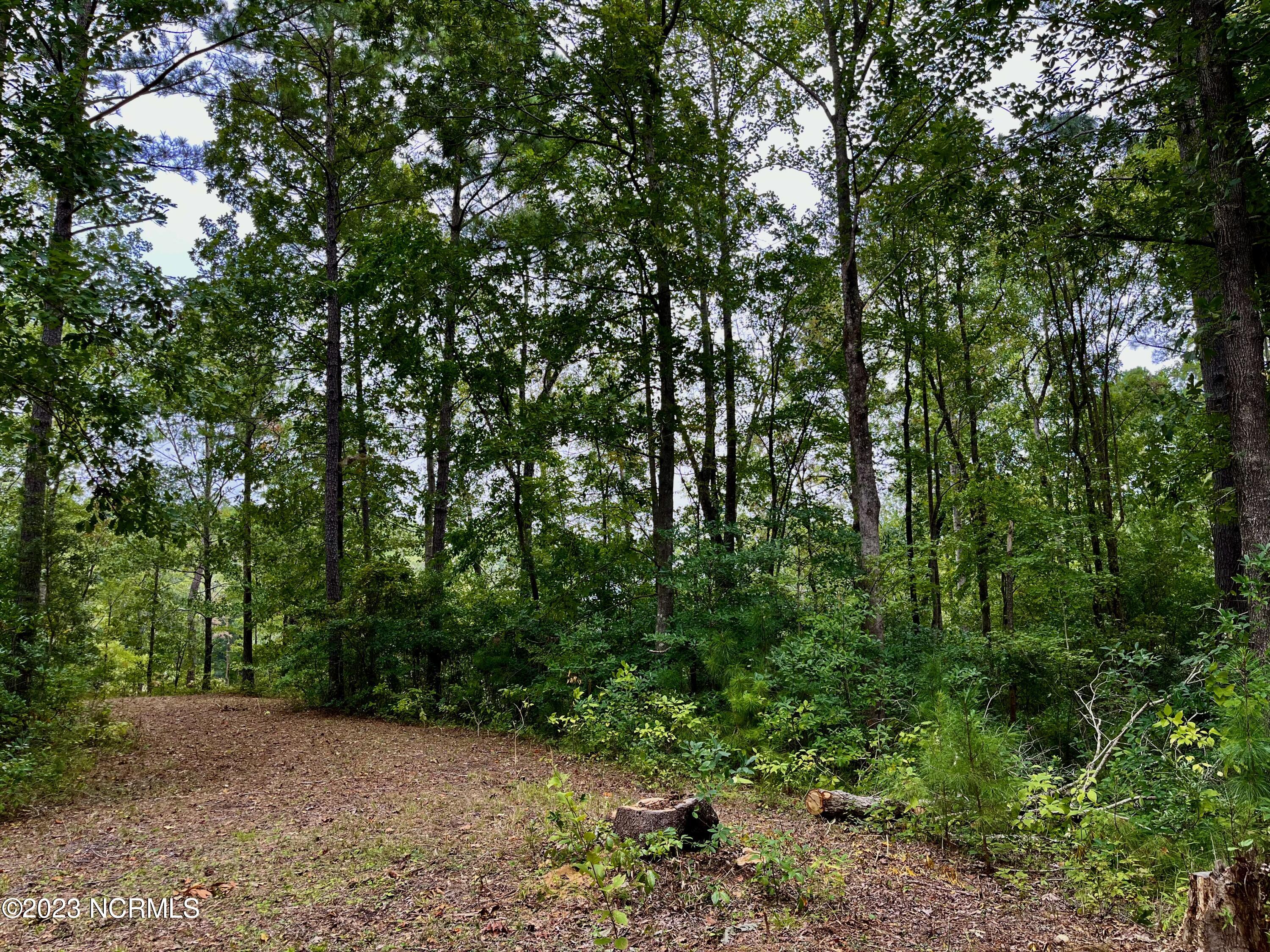 158 Fisher Turnpike Road Property Photo 11