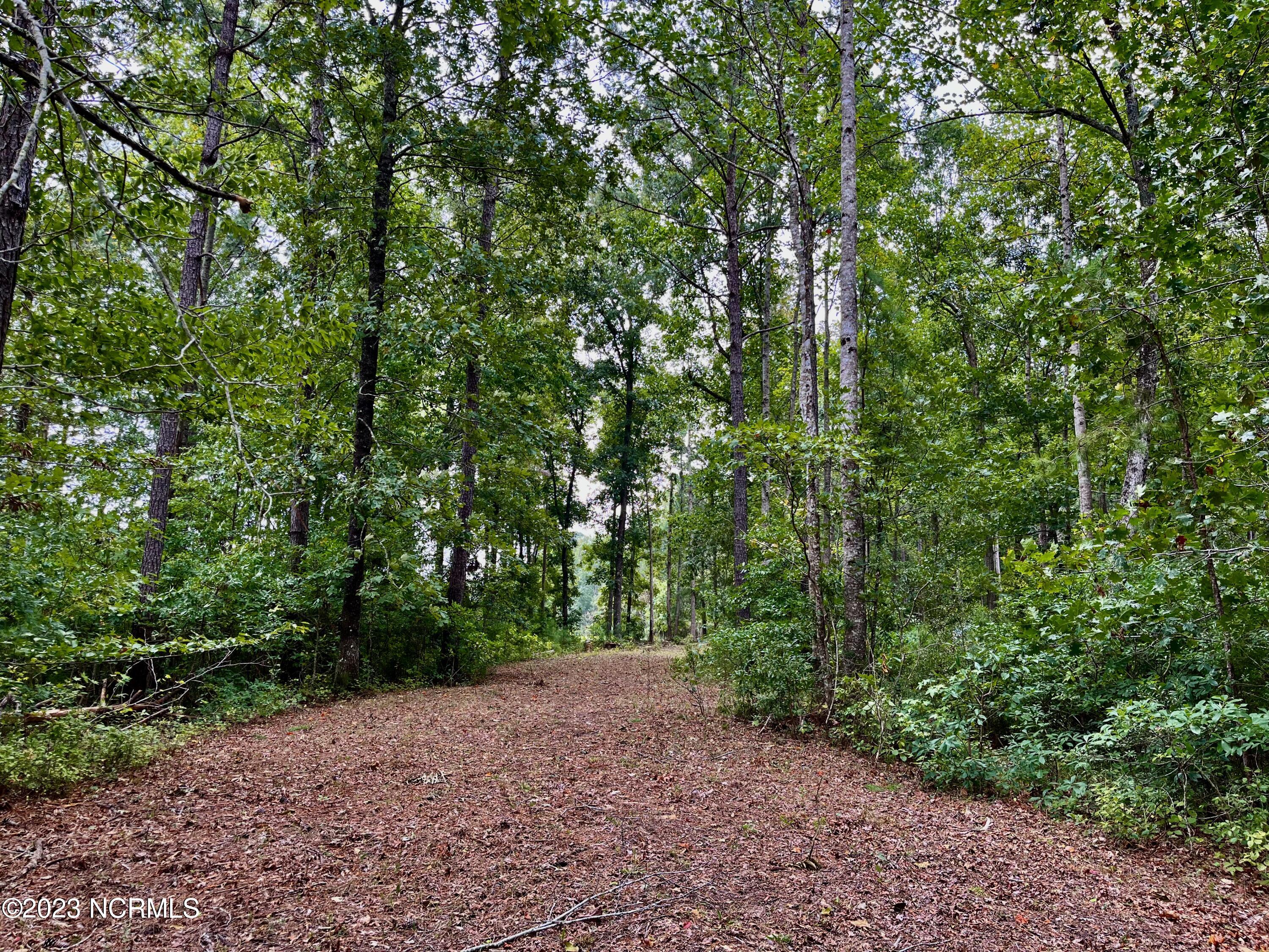 158 Fisher Turnpike Road Property Photo 12