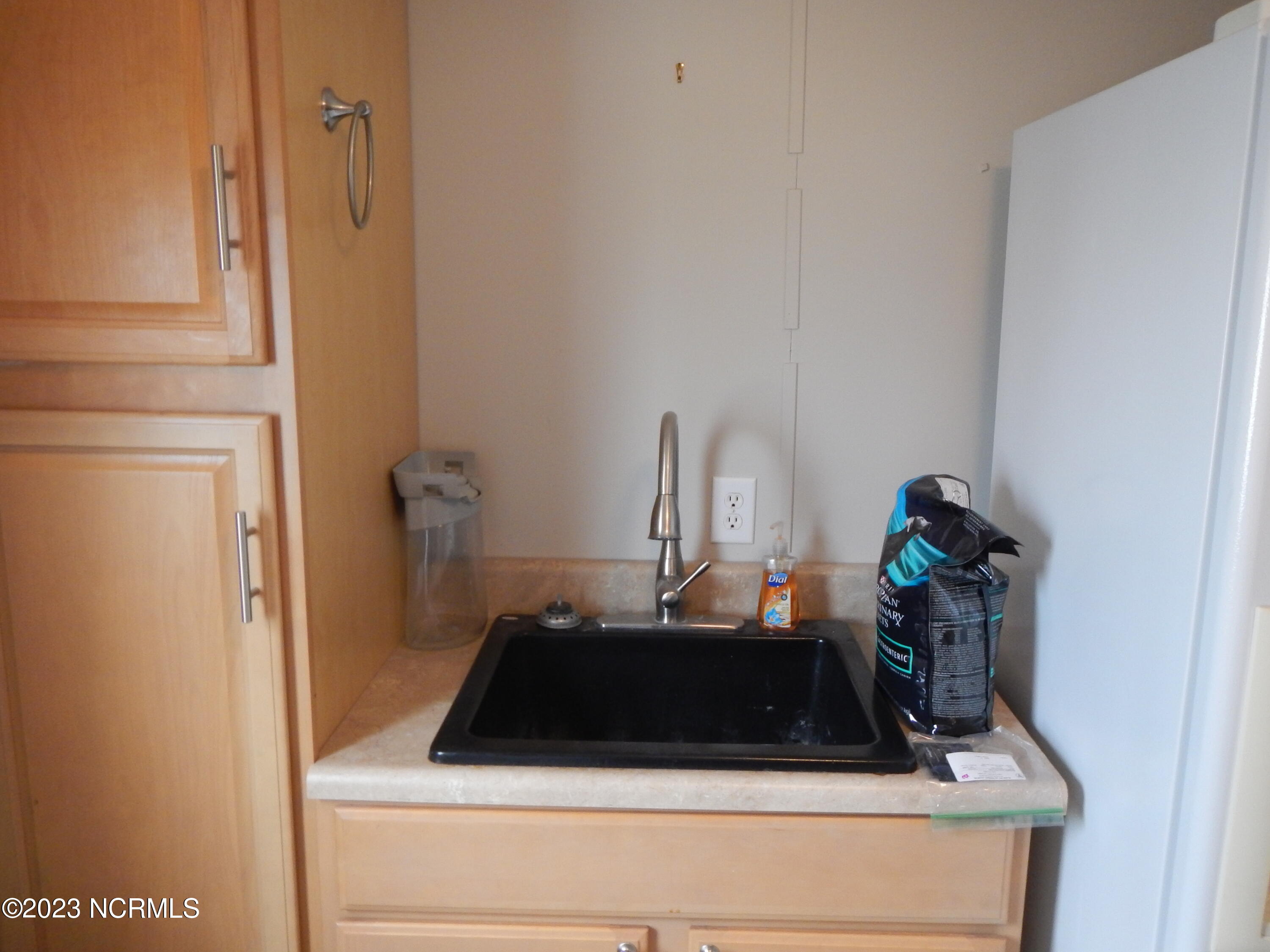 225 Blue Goose Lane Property Photo 31