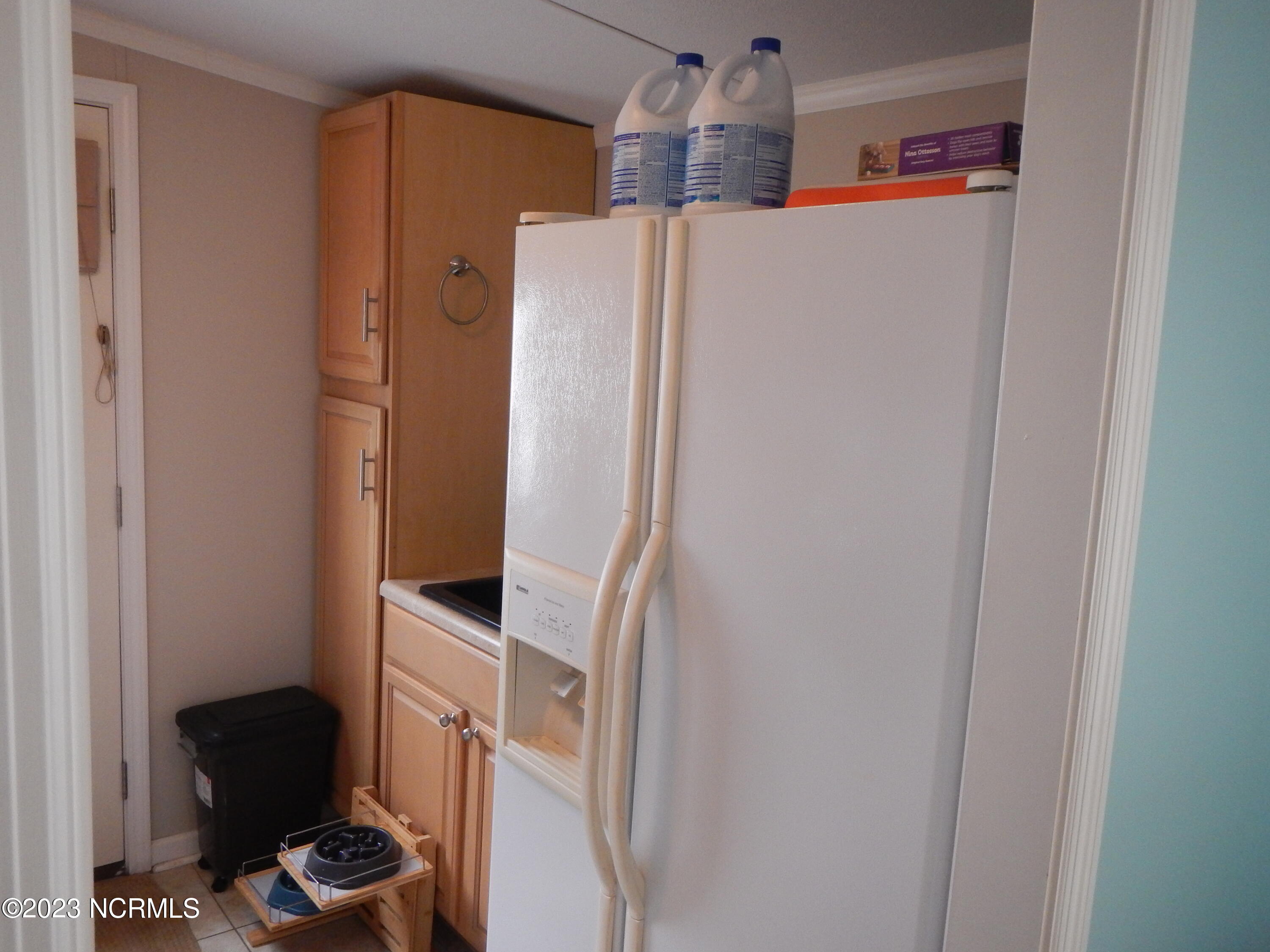 225 Blue Goose Lane Property Photo 32