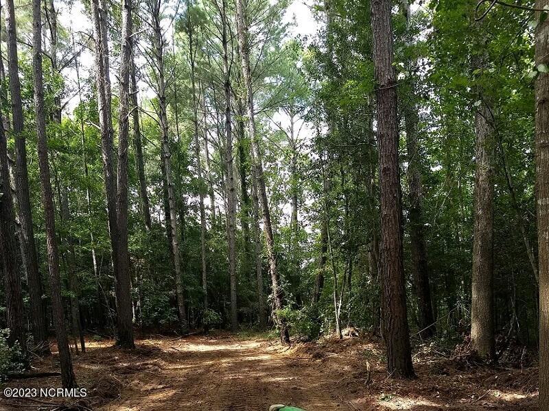 0 Off Nc 87 Highway Property Photo 5