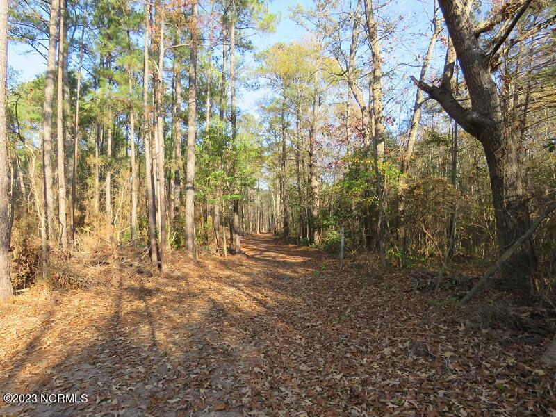 0 Off Nc 87 Highway Property Photo 7