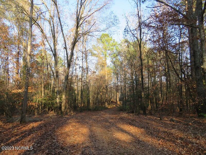 0 Off Nc 87 Highway Property Photo 8