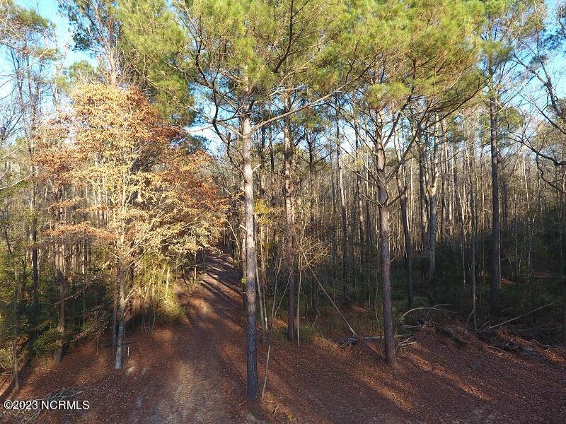0 Off Nc 87 Highway Property Photo 12