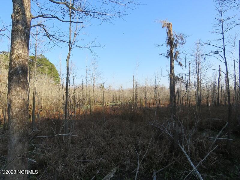 0 Off Nc 87 Highway Property Photo 13