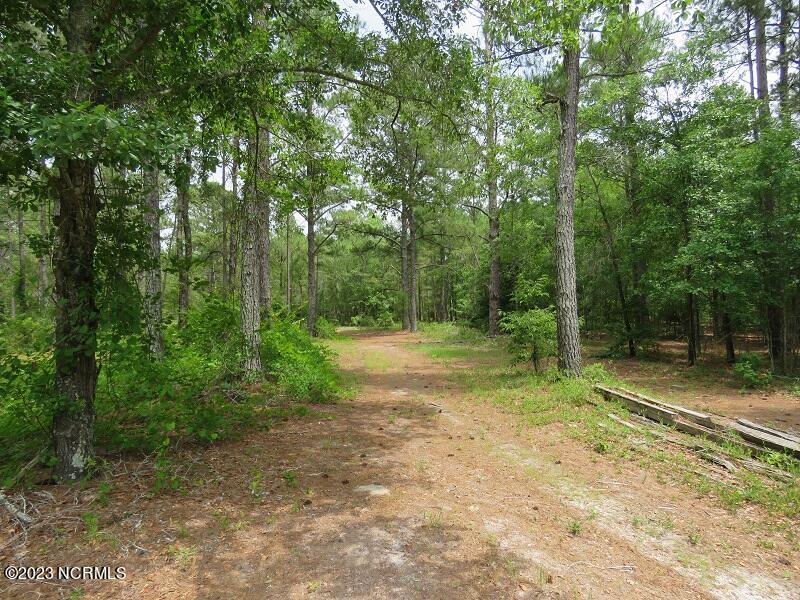 0 Off Nc 87 Highway Property Photo 14