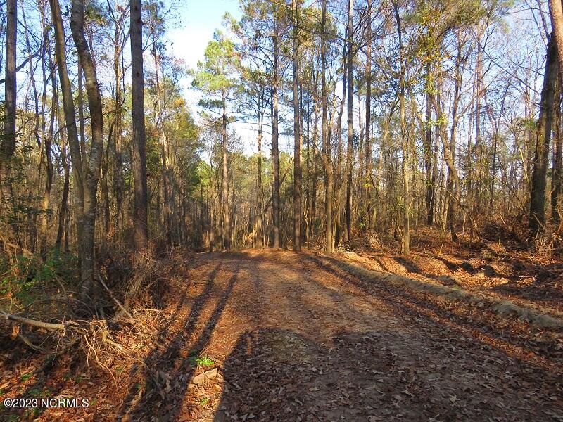 0 Off Nc 87 Highway Property Photo 15