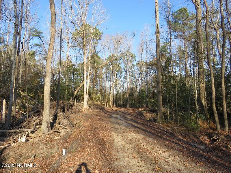 0 Off Nc 87 Highway Property Photo 17