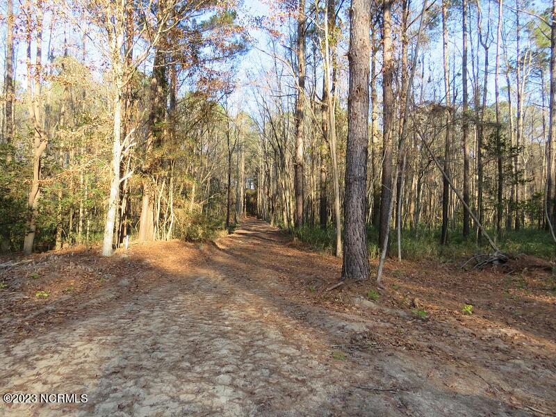 0 Off Nc 87 Highway Property Photo 19